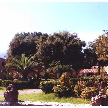 Domaine De L'avidanella サンタ・ルシア・ディ・モリアニ