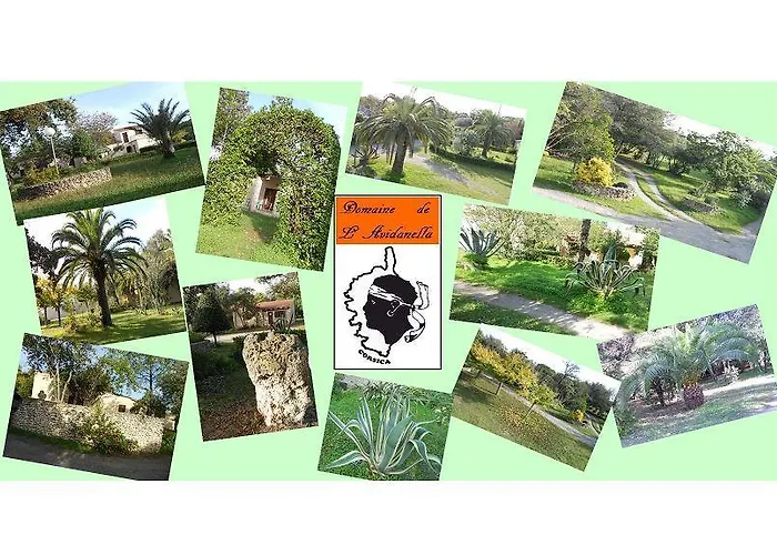 Domaine De L'avidanella *