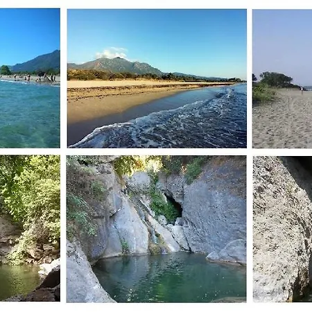 Domaine De L'avidanella アパート サンタ・ルシア・ディ・モリアニ