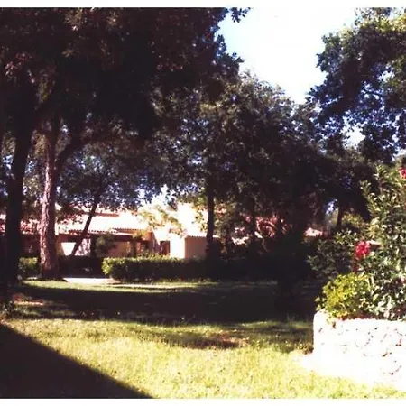 Domaine De L'avidanella