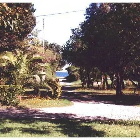 アパート Domaine De L'avidanella