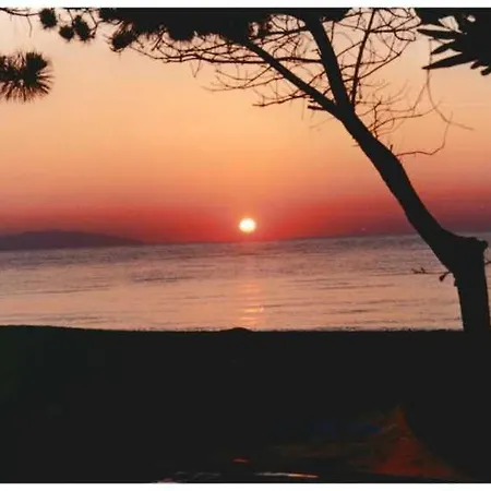 Lägenhet Domaine De L'avidanella