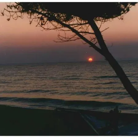 Lägenhet Domaine De L'avidanella Santa-Lucia-di-Moriani