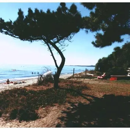 Domaine De L'avidanella