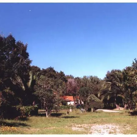 Lägenhet Domaine De L'avidanella Santa-Lucia-di-Moriani