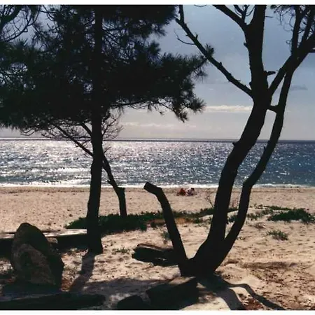 Lägenhet Domaine De L'avidanella