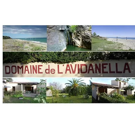 Domaine De L'avidanella *