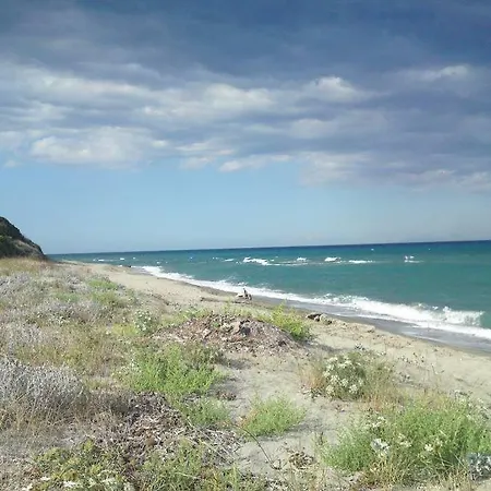 Domaine De L'avidanella サンタ・ルシア・ディ・モリアニ