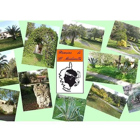 Domaine De L'avidanella *