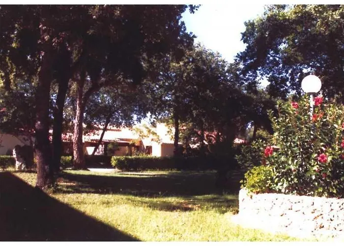 Domaine De L'avidanella