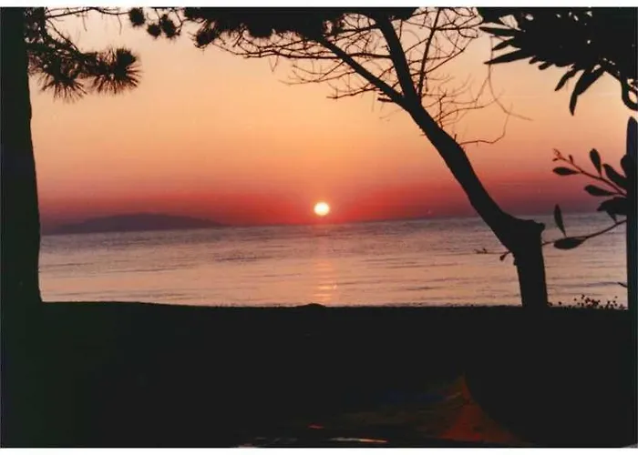 公寓 Domaine De L'avidanella