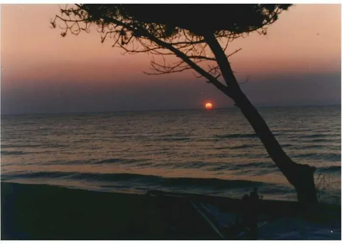 公寓 Domaine De L'avidanella 圣露茜亚迪莫伊拉