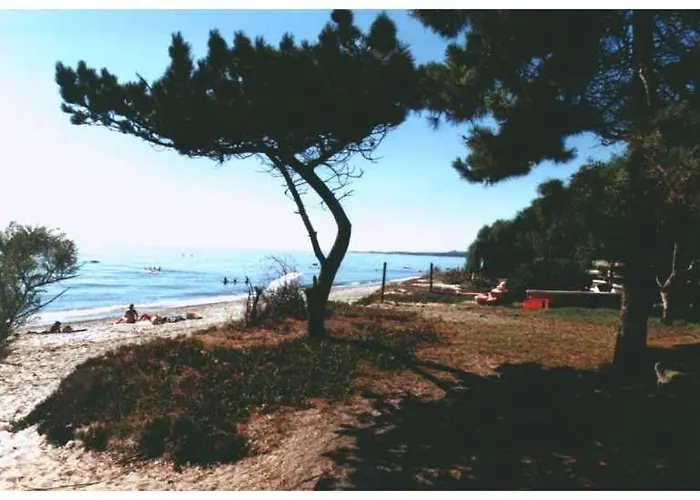 Domaine De L'avidanella