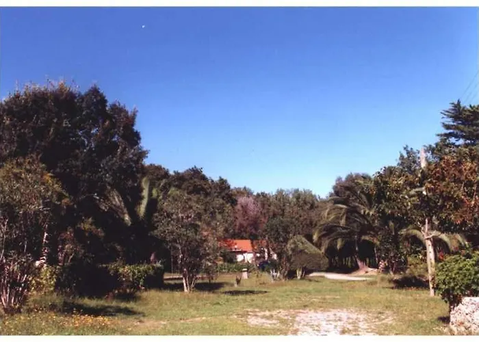 公寓 Domaine De L'avidanella 圣露茜亚迪莫伊拉