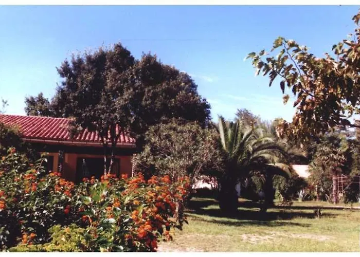 Domaine De L'avidanella