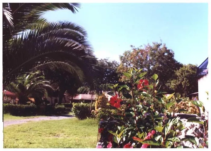 公寓 Domaine De L'avidanella *