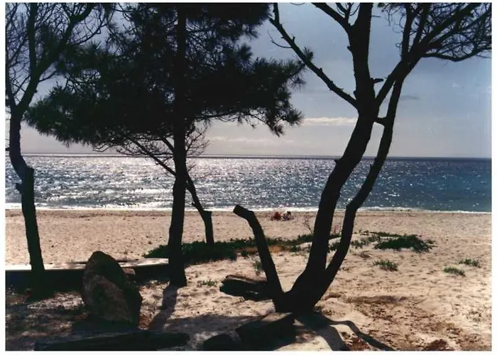 公寓 Domaine De L'avidanella