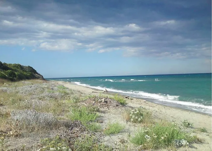 Domaine De L'avidanella 圣露茜亚迪莫伊拉